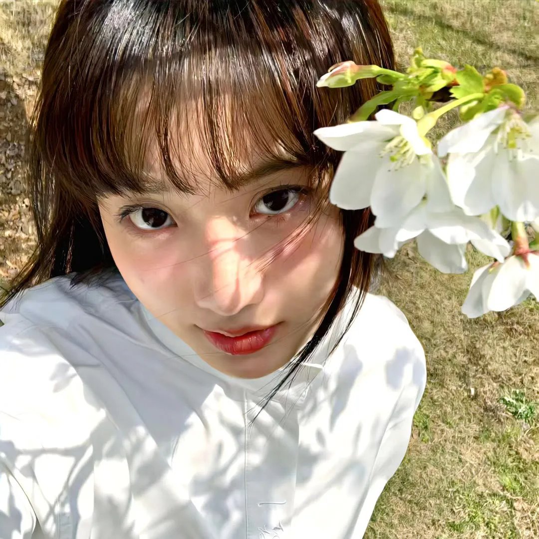 屏风美人 在线观看